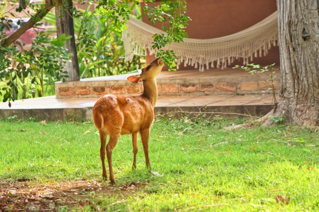 Aymara Lodge Poconé Esterno foto